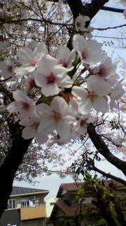 2012041513230001.jpg
